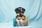 Click to view classifieds TOGJZQRL