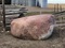 Click to view classifieds GFKDSDHX