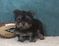 Click to view classifieds XYEBZNHV