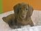 Click to view classifieds OXPFYVJM