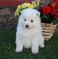 Click to view classifieds QTYBGLNG