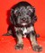 Click to view classifieds JPPJWXWS
