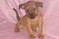 Click to view classifieds XKYSBDYE