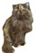 Click to view classifieds KLUCTUUR
