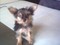 Click to view classifieds VKSZFRBG