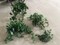 Click to view classifieds RNZJPYNN