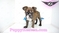 Click to view classifieds CWBQLLOB