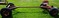 Click to view classifieds FZECGDBP