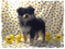 Click to view classifieds RLFYKTEO