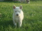 Click to view classifieds MYJELRBF