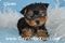 Click to view classifieds WEXZXZYQ
