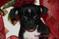 Click to view classifieds KULXQPWJ