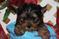 Click to view classifieds KMUFCZKL