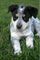 Click to view classifieds GBBERQWJ