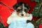 Click to view classifieds WMDWSWAW