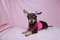 Click to view classifieds QUEZLRJH