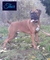 Click to view classifieds QLNVCPJX