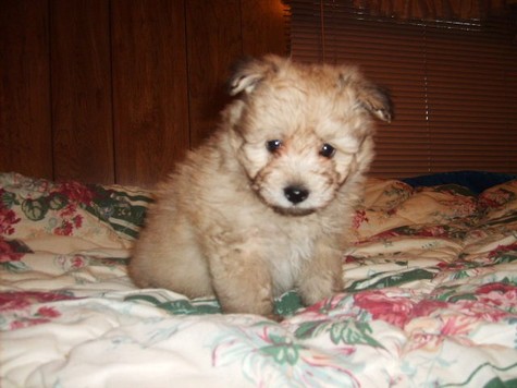 pictured Nov. 7th at 8 weeks
