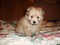 Click to view classifieds CNQVYHDZ