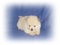 Click to view classifieds QRJQBKNV