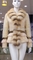 Click to view classifieds UNVFXRKN