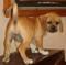 Click to view classifieds KDLXULOG