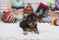 Click to view classifieds BFCGEDJF