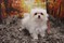 Click to view classifieds SUYFOHYP