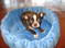 Click to view classifieds KKOESTBB