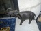 Click to view classifieds BABHPMBR