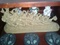 Click to view classifieds QSCXWXMS