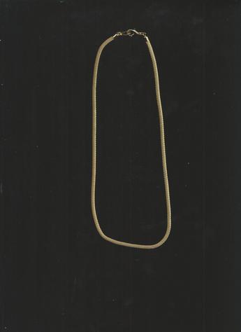 Gold-plated 12-inch Choker Clasp Necklace