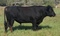 Click to view classifieds VUPBZGDU