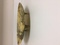 Click to view classifieds XJGXSYEB