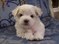 Click to view classifieds SUNWKBPQ