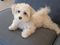 Click to view classifieds TYGKMSLP