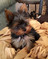 Click to view classifieds DXZQMGXX