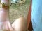 Click to view classifieds NPHLXGWM