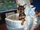 Click to view classifieds QQZSBFEZ
