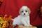 Click to view classifieds KTDJQOGH