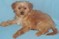 Click to view classifieds LJRHTKOQ