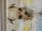 Click to view classifieds VJWBZSQP