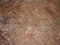 Click to view classifieds UCZPBBKN