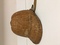 Click to view classifieds FFYTYLRW