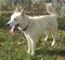 Click to view classifieds FVWKTUYQ