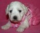 Click to view classifieds NZWSRBSM
