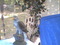 Click to view classifieds EKCYNMDK