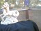 Click to view classifieds VAGJADRW