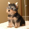 Click to view classifieds QYCVGYHU