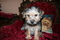 Click to view classifieds FEGNVDOF